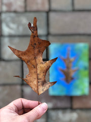 Oak Tree Leaf Original Encaustic Painting 6" x 8"